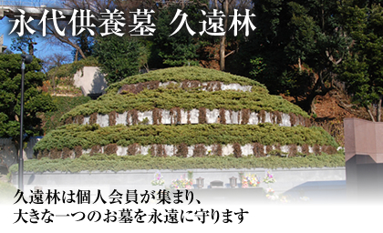 永代供養墓 久遠林 久遠林は個人会員が集まり、大きな一つのお墓を永遠に守ります