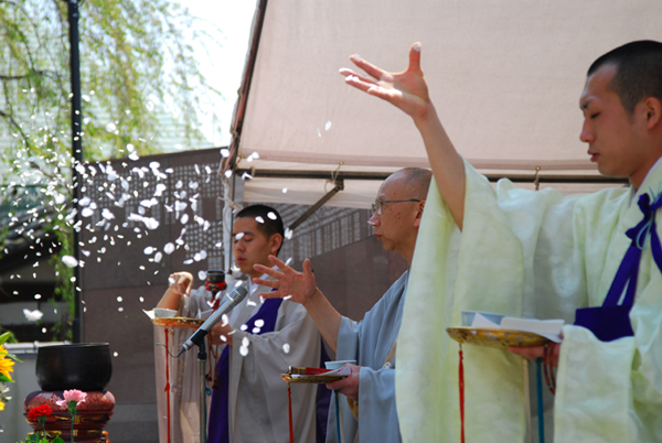 儀式の始めに、僧侶が桜の花びらを供養しました。