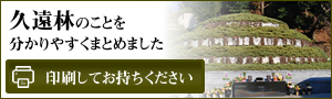 「早分かり」久遠林 印刷用ページ