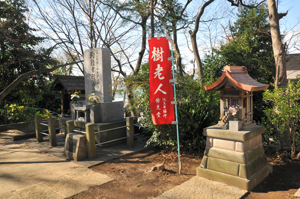 樹老人祠