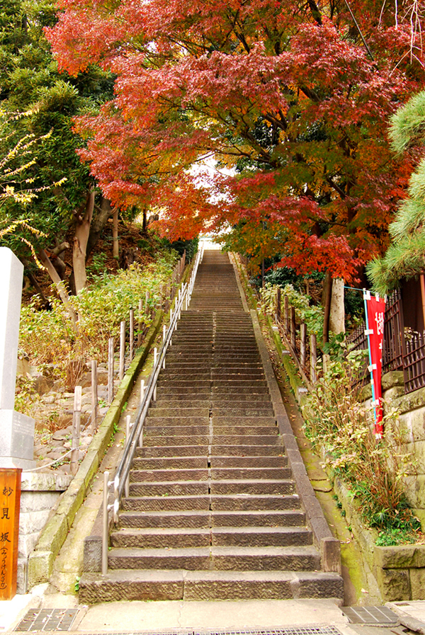 秋の妙見坂 秋の妙見坂