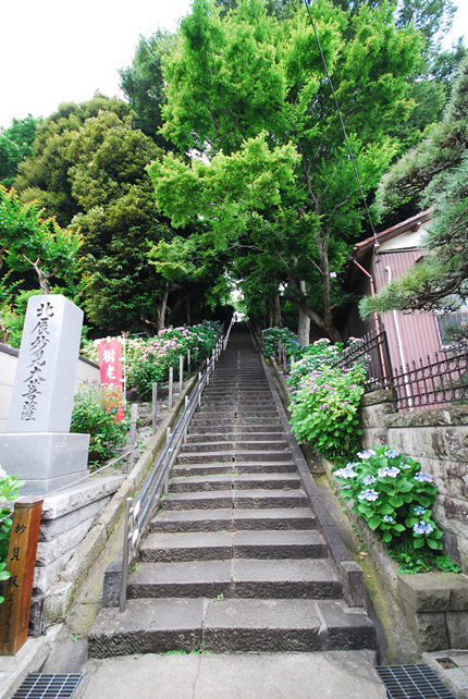 初夏の妙見坂 初夏の妙見坂