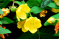 �L���V�o�C