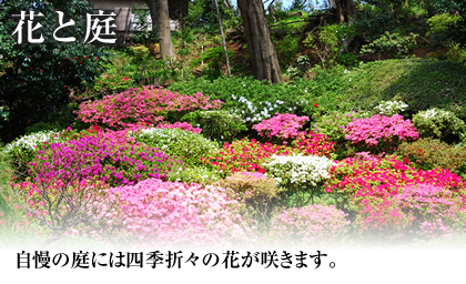 花と庭 自慢の庭には四季折々の花が咲きます。